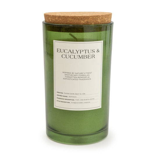 Large Glass Jar with Cork Lid Eucalyptus & Cucumber 450g